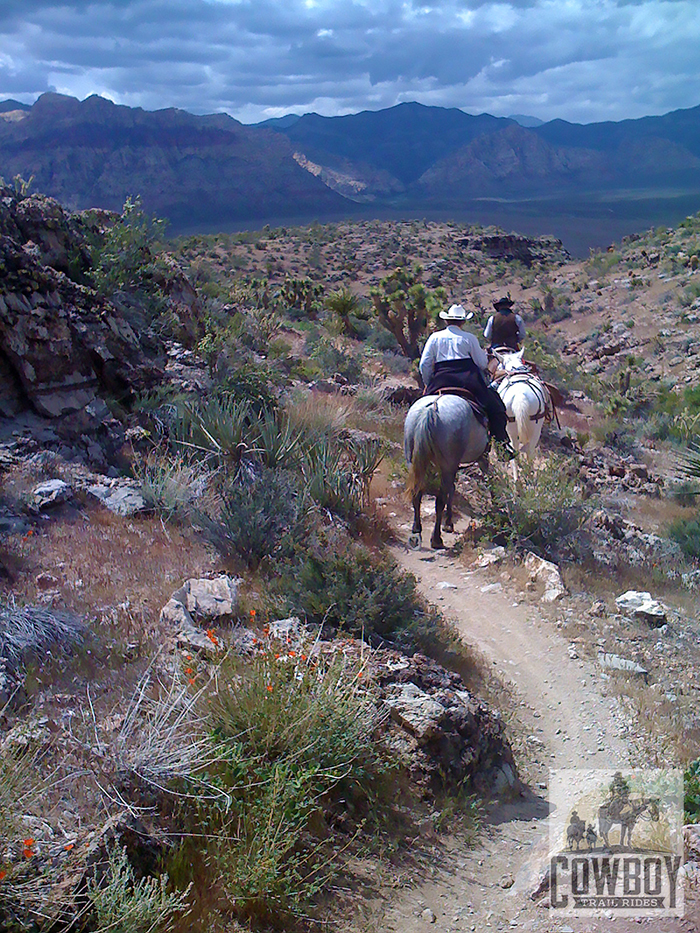 Backcountry trail in Spring while Horseback Riding in Las Vegas at Cowboy Trail Rides in Red Rock Canyon